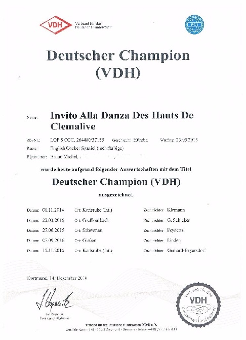 Givemehope - Danza, championne d'Allemagne (titre homologué)