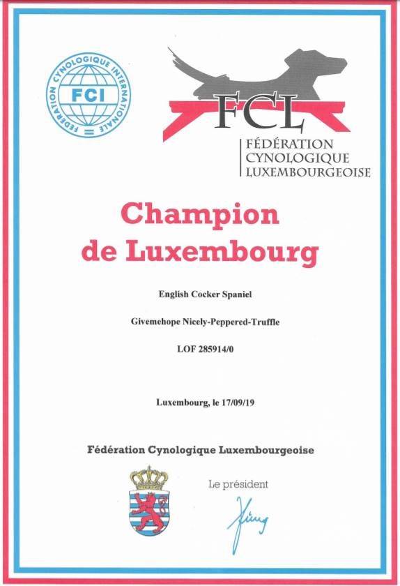 Givemehope - Le Titre de Champion Luxembourg est arrivé !