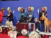  - Un Best In Show Puppy pour Givemehope Vertige de l'Amour